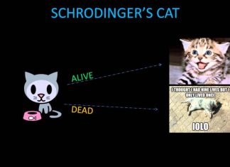 Schrodinger's Cat