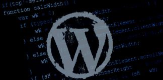 WordPress website security