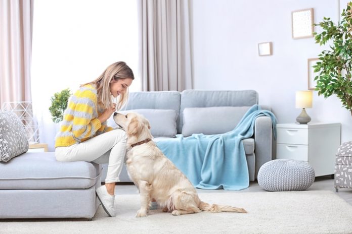 Woman with Pet at Home