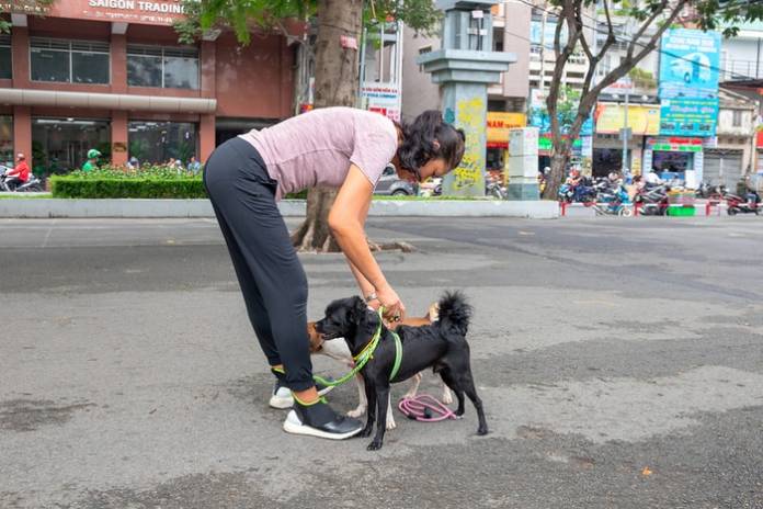 How Can Pet Ownership Improve Your Health?