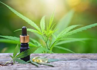 Common CBD Misconceptions You Should Stop Believing