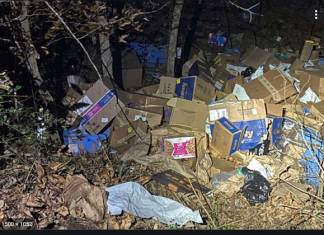 Driver Who Dumped FedEx Packages worth $40,000 in Ravine Charged With Theft