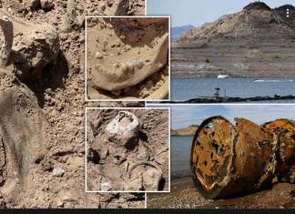 Authorities Find More Human Remains in Receding Waters of Lake Mead